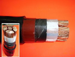 东莞市中凯电线电缆行专业供应各种特殊规格电线电缆20090517